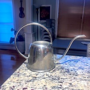 Stainless Steel Watering Can
